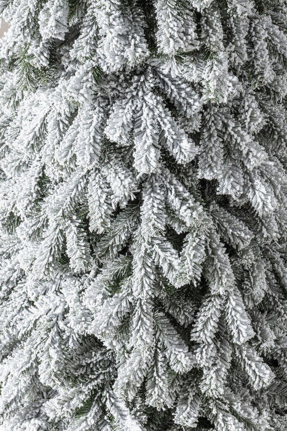 Yukon 270cm