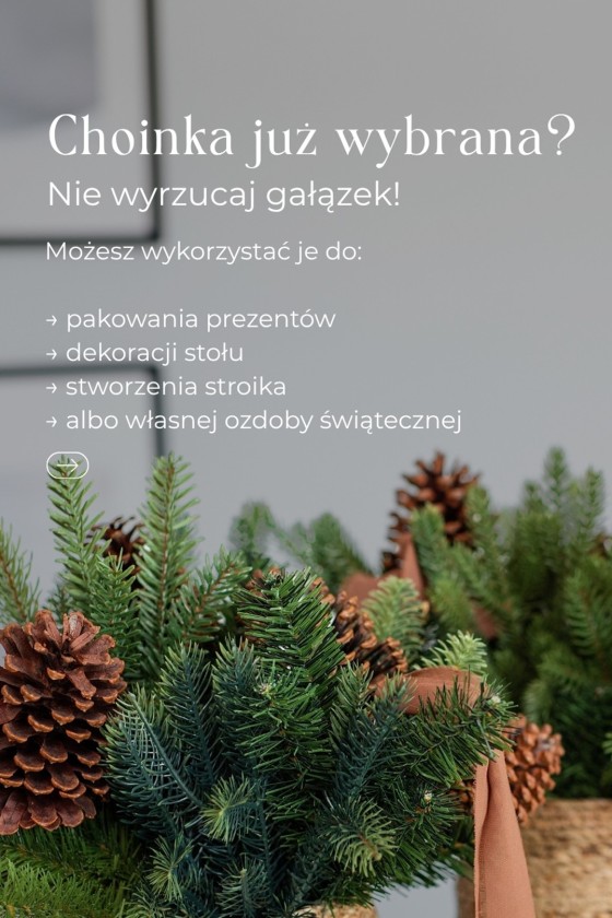 Wzornik gałązek – próbki sztucznych choinek | Wiecznie Żywe Choinki