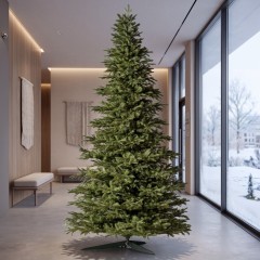 Wysokie i giganty (od 270cm do 500cm)