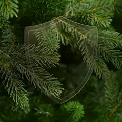 Symbol tarczy na tle gałązek świerku