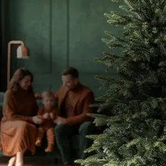 Rodzina przy choince w zielonym salonie